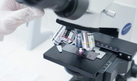 Structural Biology Services
